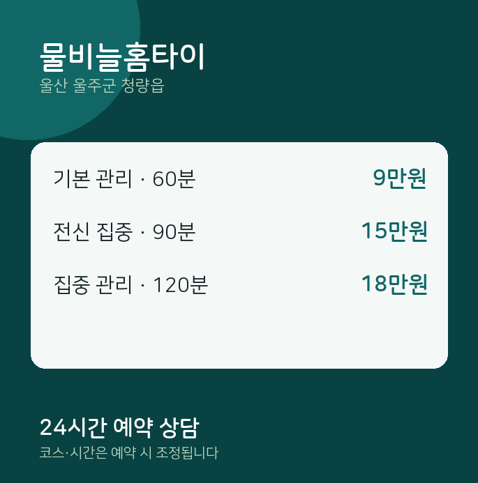 청량읍 출장 물비늘홈타이