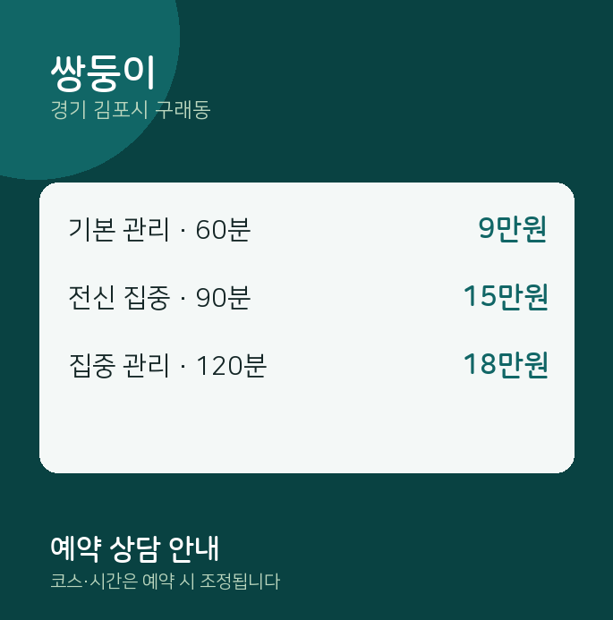 구래동 스웨디시 쌍둥이