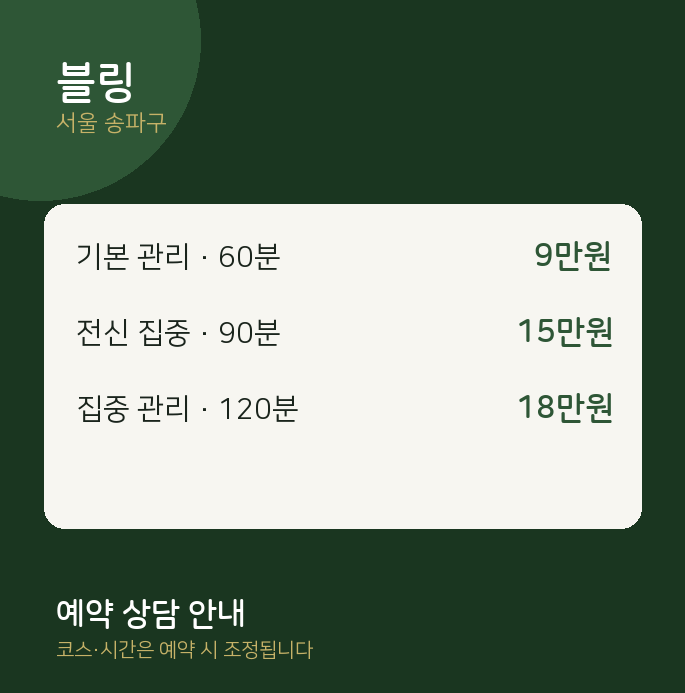 송파구 마사지 블링