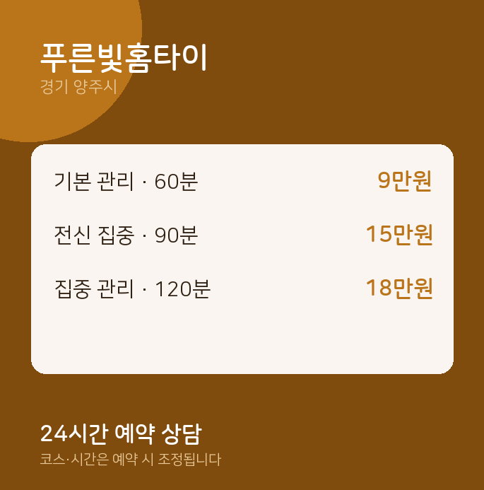 양주시 출장 푸른빛홈타이