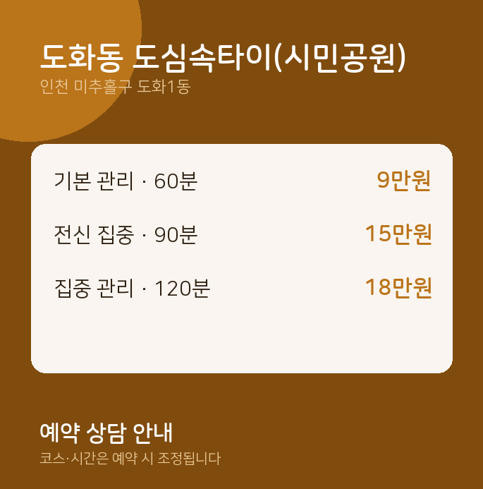 도화1동 타이 도화동 도심속타이(시민공원)
