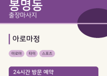  출장마사지