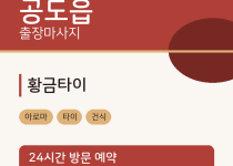  출장마사지