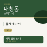 돌체테라피