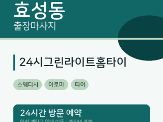 24시그린라이트홈타이