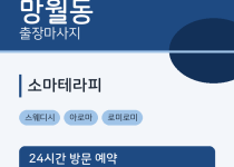  출장마사지
